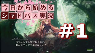 【シャドウバース】今日から始めるシャドバ実況 #1 - チュートリアルとスタンダードカードパック20連｜Shadowverse