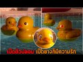 เป็ดตัวปลอม เป็ดยางก็มีความรัก Plastic Duck Simulator