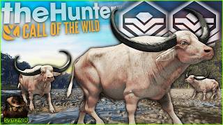This SUPER RARE Albino Diamond Water Buffalo Ruined My Day... Call of the wild