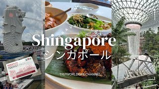 Singapore trip シンガポール旅行 おすすめチリクラブランチ JEWEL ジュエル マーライオン 地下鉄乗り放題パス 紹介あり