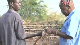 NTV Connect: Pongo Village