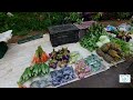 vegetable and meat market at siaha vaihpi travelvlog northeastindia