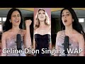 What if Céline Dion sang WAP? (full version)
