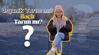 Organik tarım mı? İlaçlı tarım mı?