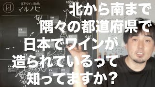 【2022年版】全国の日本ワインの事情を語ってみた！