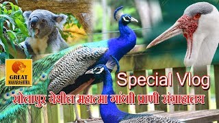 प्राणी संग्रहालय सोलापूर | Zoo in Solapur | special Vlog | 2019