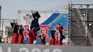 第35回朝霞市民まつり　彩夏祭　桜華　4K