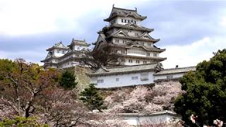 JG 兵庫 一度は行きたい 姫路城の桜 Hyogo,Sakura at Himeji Castle