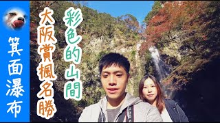 『大阪-箕面瀑布』賞楓名勝！看到彩色的山間耶【Wang Ching】Ep.140