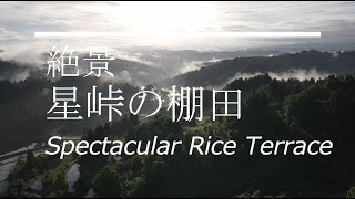 【絶景！　星峠の棚田】雲海をもとめて　～Spectacular Rice Terrace~