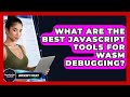 What Are The Best JavaScript Tools For WASM Debugging? - JavaScript Toolkit