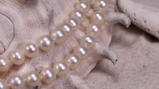 Pearls in 9ct Gold at TVSN