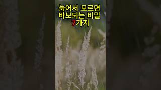 늙어서 모르면 바보되는 비밀 7가지  #명언 #좋은글 #지혜