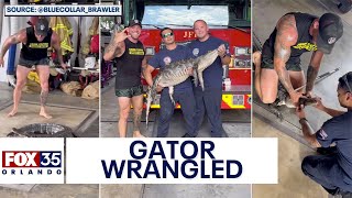 'Blue Collar Brawler' traps alligator inside Jacksonville Fire Station