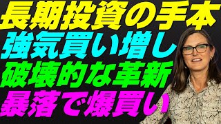 【米国株】キャシーウッド『破壊的イノベーション』強気買い増し！ARKKアークETFの躍進！テスラ株Tesla最大保有！FRB金融政策【NASDAQ100レバナスS\u0026P500投資ナスダック経済ニュース】