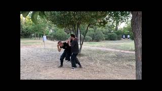 Bujinkan Ninjutsu Ganseki Nage training in the park.