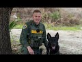 Recorded Livestream coverage of the 2022 Space Coast Police K-9 Competition