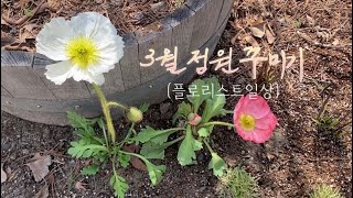 3월에는 꽃씨를 뿌려요~(플로리스트정원관리)