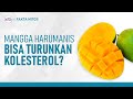 Kolesterol Tinggi? Yuk Konsumsi Mangga Harum Manis | Hidup Sehat tvOne