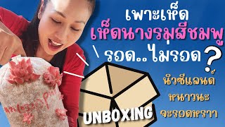 Ep.57 Unboxing แกะกล่อง ฟาร์มเห็ดย่อส่วน #ปลูกเห็ดนางรมสีชมพู รอดไม่รอด❓Mini mushroom farm, NZ 🇳🇿