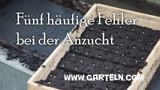 Gemüse vorziehen - Fünf Fehler bei der Anzucht von Gemüse