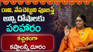 రావి వేప చెట్లకి ప్రదక్షిణ చేస్తే పొందే లాభాలు |  మహిమ వింటే చాలు ఇక మీ ఇంట్లో అన్ని శుభాలే ||