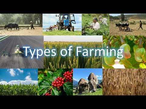 Types Of Farming | Subsistence And Commercial Farming | Agriculture In ...