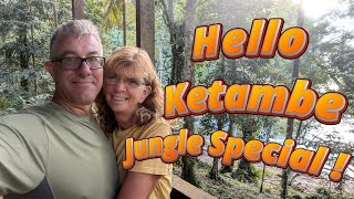 Orangutans in the WILD  - Jungle Special