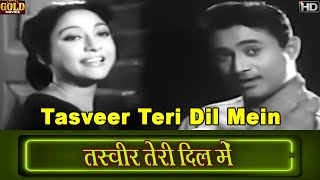 Tasveer Teri Dil Mein - Maya - 1961 - Video Song - Lata , Rafi - Dev Anand , Mala Sinha , Lalita