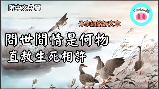 【#kamkam豬】- 問世間情是何物, 直教生死相許. - 分享網絡好文章 /  「附中文字幕 」