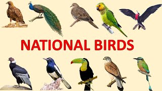 National Birds of Countries| National Birds | National Birds of World Countries