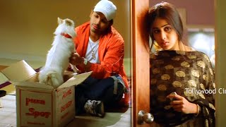 Allu Arjun, Genelia, Bramhanandam FULL HD Comedy Drama Part -8 | Tollywood Cinemalu