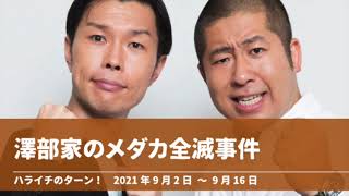 澤部家のメダカ全滅事件【ハライチのターン！澤部トーク】2021年9月2日〜9月16日