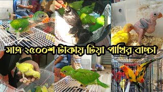 মিরপুর পাখির হাট || মাত্র ২৫০০শ টাকায় টিয়া পাখির বাচ্চা || ক্রেতায় ভরপুর মিরপুর হাট #birds #mirpur