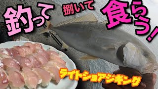 【ライトショアジギング】釣って捌いて食べてみた。