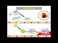 17.Syndromes coronariens aigus ST+ (Pr Nibouche) | #Cardio