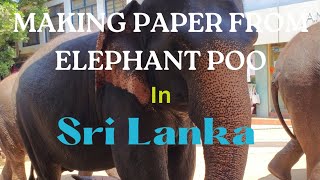 How to make Paper From Elephant 🐘 Dung 💩 in Sri Lanka 🇱🇰 ♥️ ❤️ 👌 😍 💖 🇱🇰 💜💛🧡🧡💚💜💖👍👌