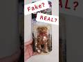 REAL OR FAKE ERROR? TY Beanie Baby Mcdonalds International Bears. #shorts #tybeaniebabies