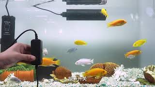 【110V+免運】 送護眼遮光罩 魚缸殺菌燈 水族UV殺菌燈 魚池魚缸殺菌燈 紫外線殺菌燈 消毒燈