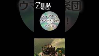 ウマナリ楽団の小ネタ集 #ゼルダの伝説  #ティアキン #BGM