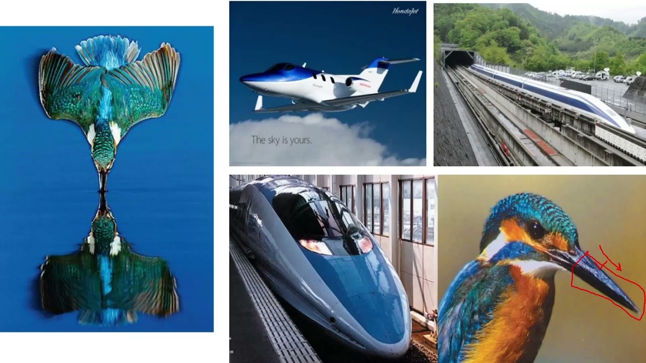 Bullet Train | Sanyo Shinkansen Line | Japan | Kingfisher |Biomimicry # ...