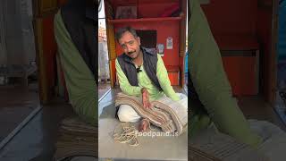 हरिद्वार की पोथी, पूर्वजों की कहानी #हरिद्वार #tranding #viralvideo