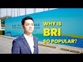 GLOBALink | Vlog: Why is BRI so popular?