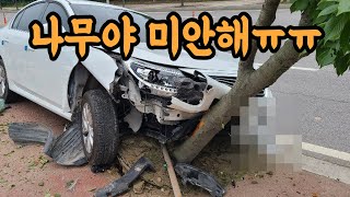 5968회. 끼어드는 차 피하려다 나무 뽑았는데 보험사에서 6:4라네요. 나무도 억울하겠지만 저도 억울합니다.