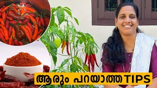 മുളക് പൊടി ഉണ്ടാക്കാൻ ആരും പറയാത്ത പുതിയ ടിപ്സ് | How to make chilli Powder | Mini's Lifestyle