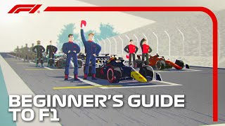 Beginner's Guide to F1