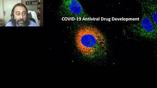 Insights into SARS-CoV-2 Biology