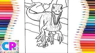 Velociraptor the Dinosour Coloring Pages,How to Color Velociraptor, Dinosour may be Dangerous