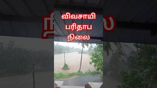 நீரில் அடித்து சென்ற பயிர்@விவசாயிவழியில்நான் #vivasayi #விவசாயம் #agriculture #பரிதாபங்கள்