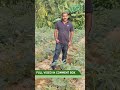 വെണ്ടകൃഷി karshakasree agriculture farming